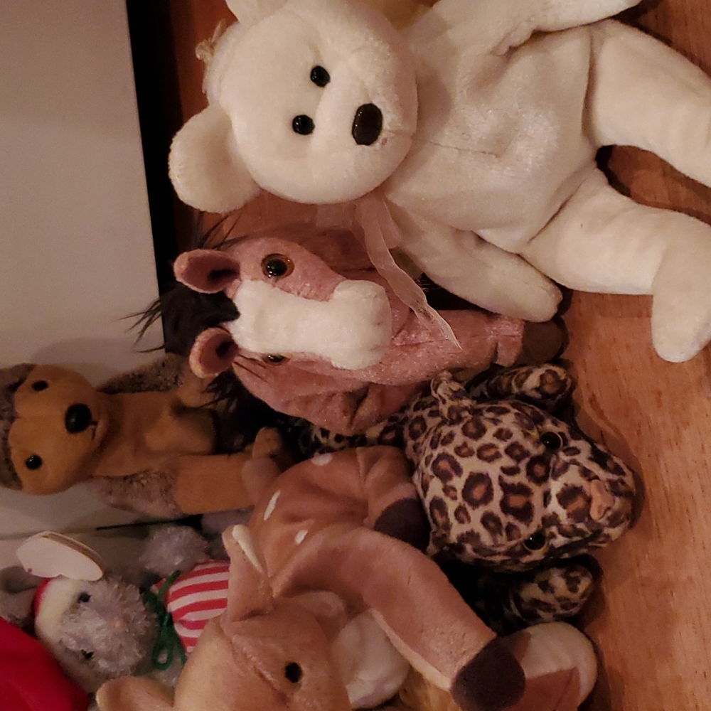 Beanie Baby Bundle (20) - Picture 2 of 6